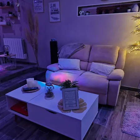 Avec Jacuzzi, Terrasse Amenagee Et Wifi A Διαμέρισμα *